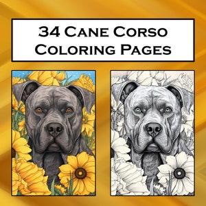 34 Cane Corso Coloring Pages, Printable PDF Dog Coloring Pages, Coloring Pack, Instant Download PDF Coloring Print