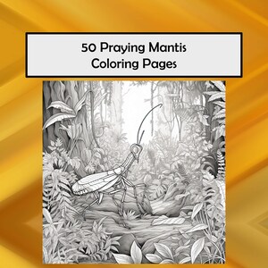 Praying Mantis Coloring Pages, 50 Praying Mantis Printable PDF Pages, Sendo Coloring Praying Mantis, Instant Download PDF Coloring