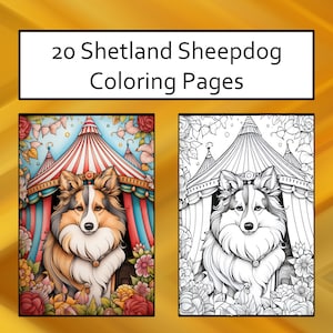Shetland Sheepdog Coloring Pages: 20 Printable Dog Illustrations (PDF)