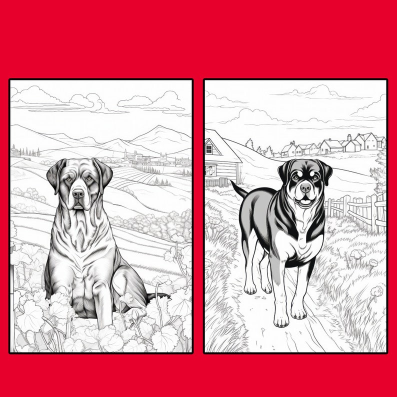 39 Rottweiler Coloring Pages, Printable PDF Dog Coloring Pages ...