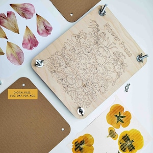 Laser Cut DATEI - Flower Press - Orchidee - DIY Blumenschmuck