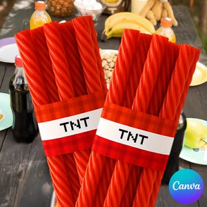 Pixel Craft TNT Wrappers, Birthday Gamers Template Labels, Pixelated Mine Theme Favors, Video Game Party Tag, Printable Instant Download DIY