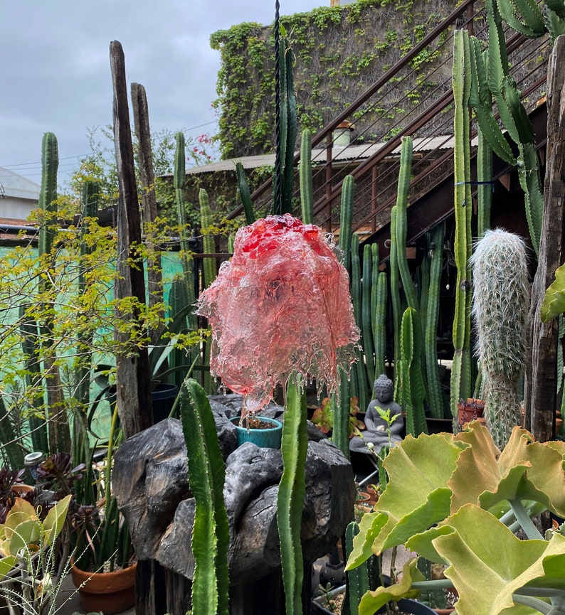 Op de afbeelding: Een roze glazen sculptuur dat lijkt op een bloem, hangend aan een zwart koord, omringd door verschillende cactussen en vetplanten in een tuin.
