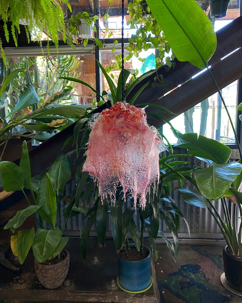 Op de afbeelding: Een roze en rode glazen lampenkap met een druppelend effect hangt aan een zwart snoer in een kamer met planten.