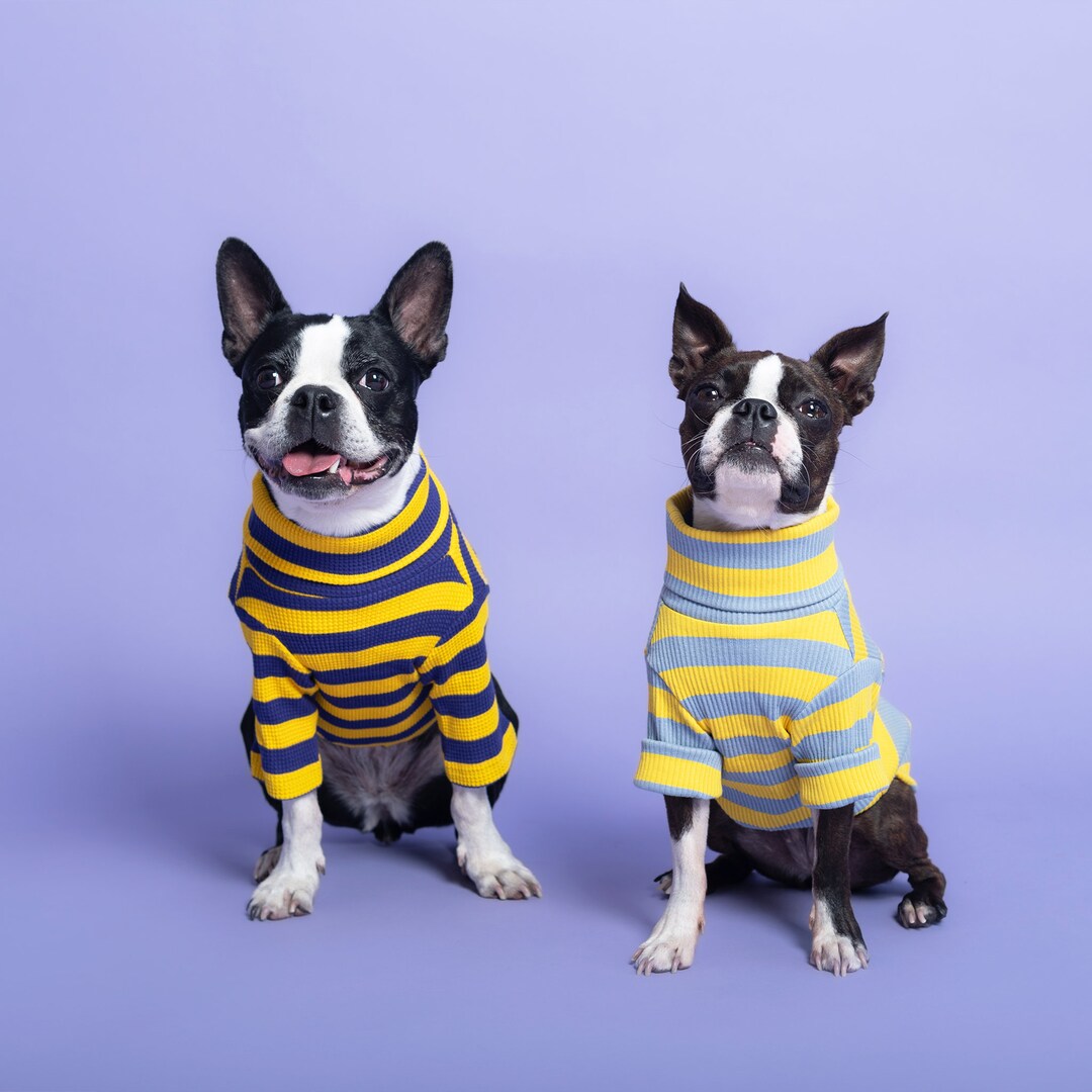 Chic Striped Cotton Dog Sweaters Medium size Dog Sweatshirts Cozy Pet chic-striped-cotton-dog-sweaters-medium-size-dog-sweatshirts-cozy-pet
