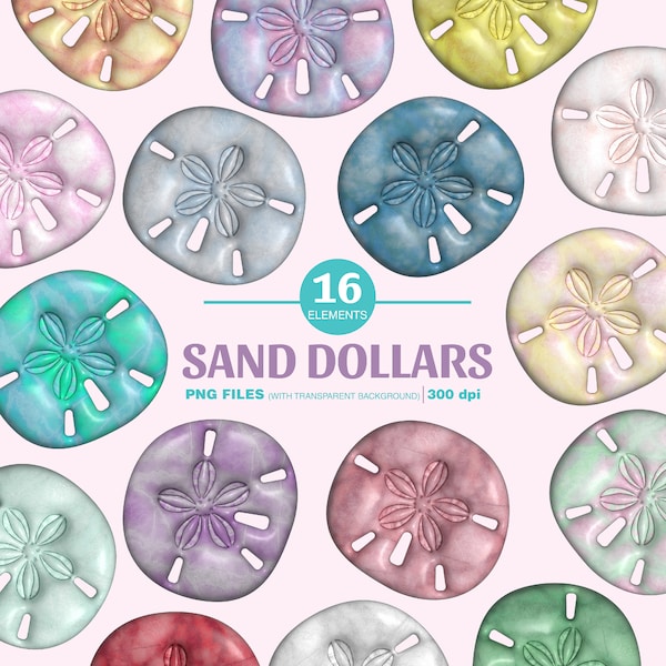 3D clipart of colored sand dollars. Sea cookie, snapper biscuit. sea stickers. illustration for birthday cards, digital planner