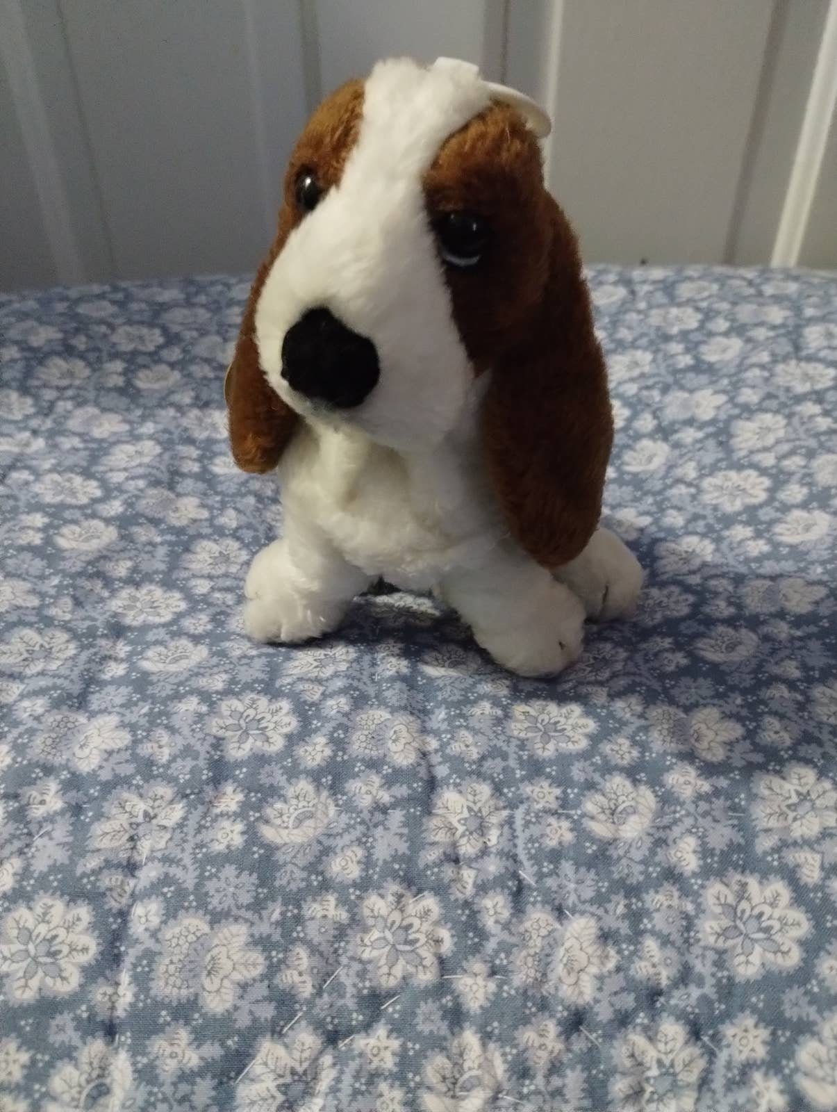 Hush puppies saluki online