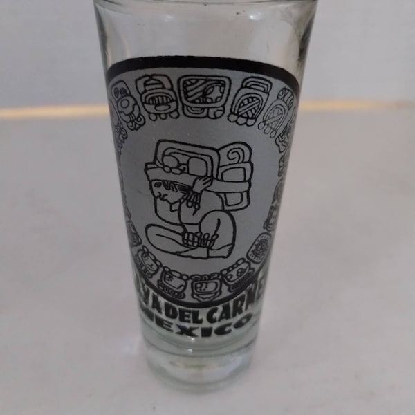 Playa Del Carmen Mexico shot glass