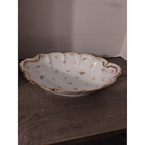 Petite Pink Roses Oval Serving Bowl Porcelain Theo. Haviland Limoges France