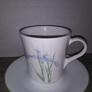 May include: White ceramic teacup and saucer set. The cup features a floral design with a blue and purple iris flower and green stems. The saucer has a green rim. A classic design for serving tea or coffee.