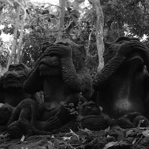 No Evil - unique, modern digital photography. Monkeys, Sculpture, Bali, Black and White, Travel. Samsung Frame TV. Download.