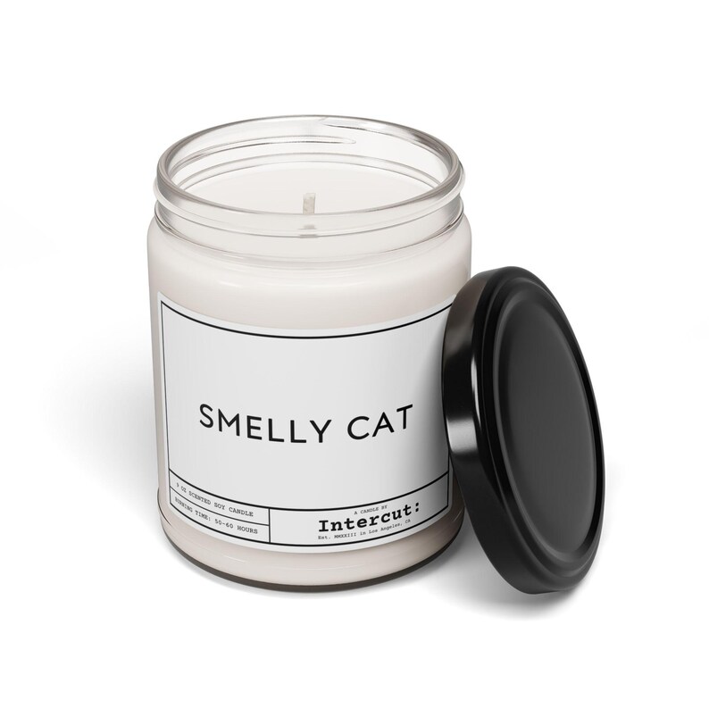 Smelly Cat Candle - Thumbnail 3