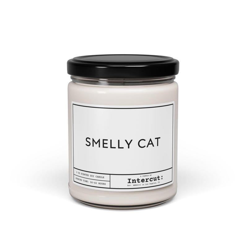 Smelly Cat Candle