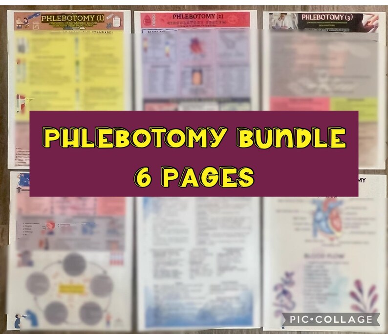 Phlebotomy PDF Study Pack 18 Pages Bundle include 6 Pgs - Etsy