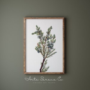 Vintage Christmas Sketch Art Vintage Winter Wall Art Printable Digital Download Minimalist Christmas Decor Neutral Winter Art Print