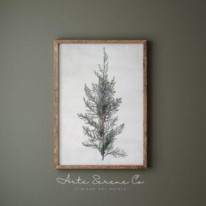 Minimalist Christmas Wall Art VINTAGE Printable, Neutral Farmhouse Wall Decor Print, Winter Wall Art Home Decor Print, Christmas Art Print