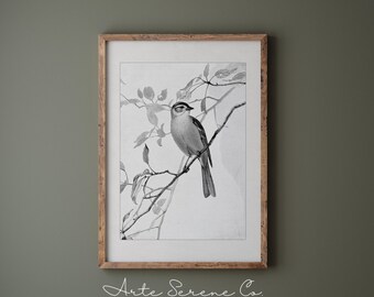 Art mural imprimable, impression d'art en téléchargement numérique, art mural vintage, oiseau croquis impression d'art impression d'art numérique, art mural minimaliste, art neutre