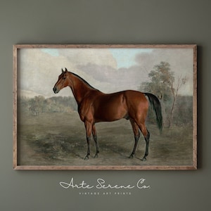 Antique Equestrian Art Print, Vintage Printable Wall Art, Horse Art Print, Vintage Fine Art Print Digital Download Wall Art