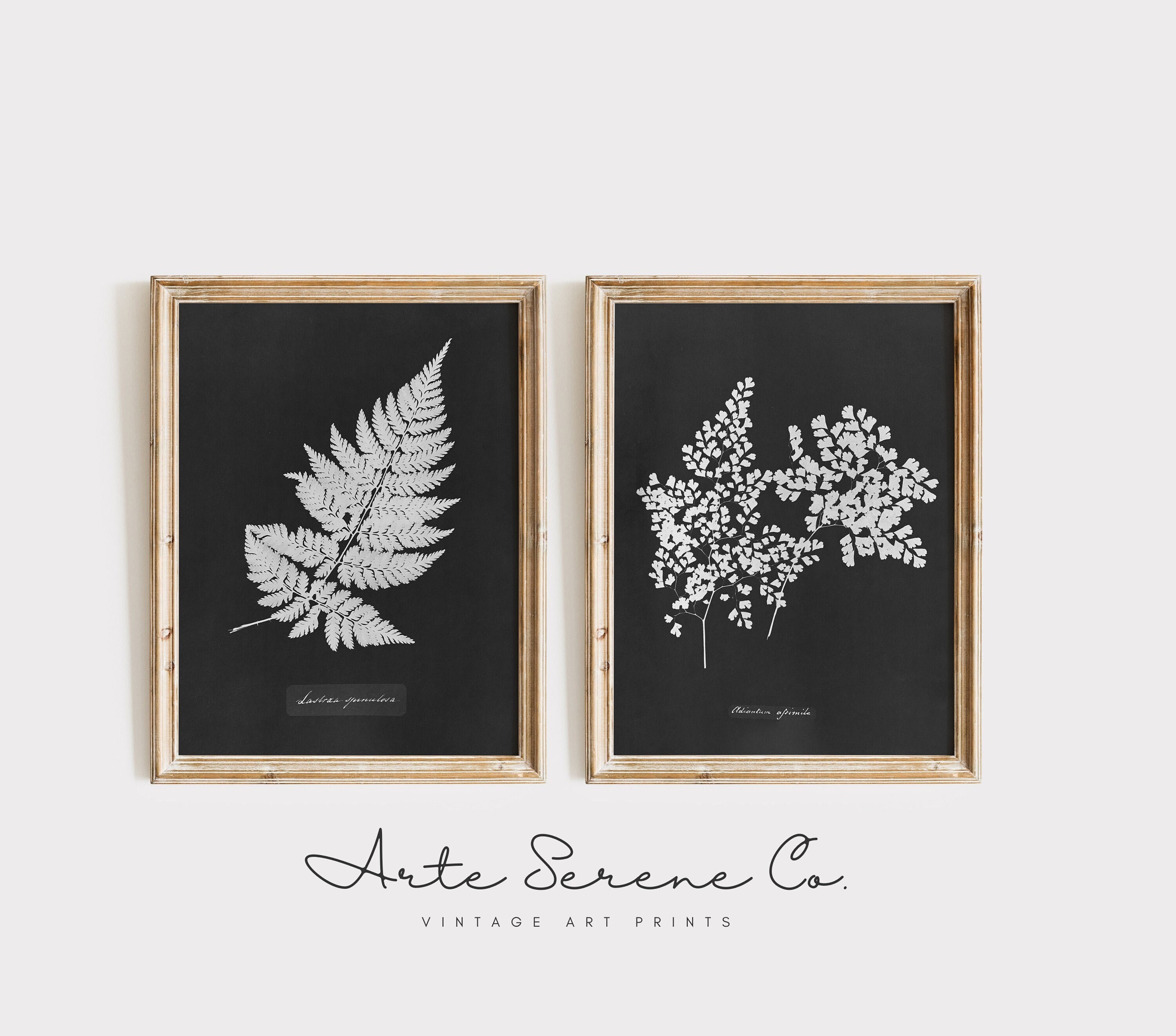 Black and White Botanical Art Print SET of 2, PRINTABLE Wall Art Set ...