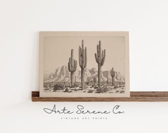 VINTAGE Western Printable Boho Cactus Sketch DIGITAL PRINTS Desert Landscape Western Art Prints Southwestern Printable Wall Art