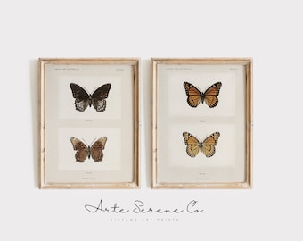 Vintage Butterfuly Art Print SET Of 2 Study of a Butterfly Printable Art Digital Download Cottagecore Home Decor Vintage Wall Art Set