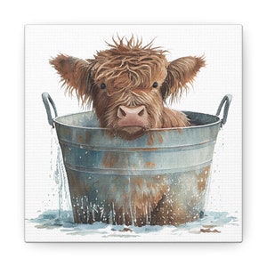 Baby Highland Cow Canvas, Wooly Cow Picture, Farmhouse Decor