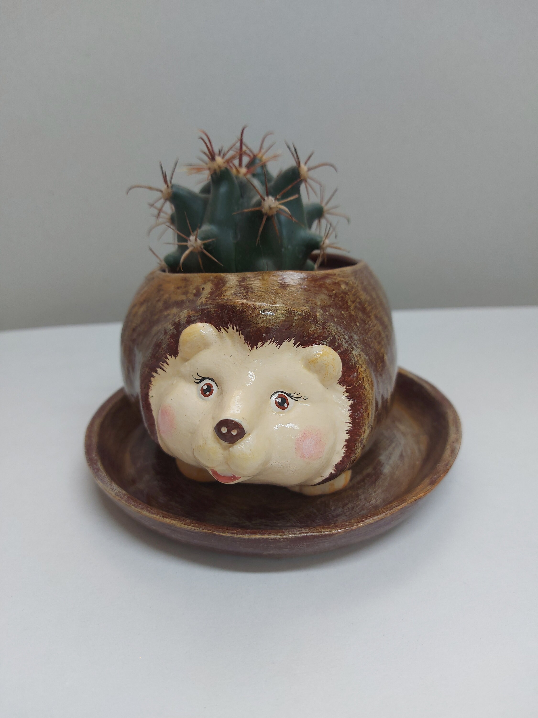 Ceramics Funny Hedgehog Little Pottery Living Room Kids Gifts Home Decor KItchen Bedroom Mothers Day Gifts Window Little Flowerrs Cactus Pot