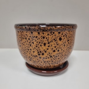 Könnte beinhalten: Ein gesprenkelter Keramik-Pflanztopf mit passender Untertasse. Der Topf hat eine abgerundete Form mit einem dunkelbraunen Rand und einem gesprenkelten Muster aus braunen Punkten auf beigem Hintergrund. Die Untertasse ist dunkelbraun.