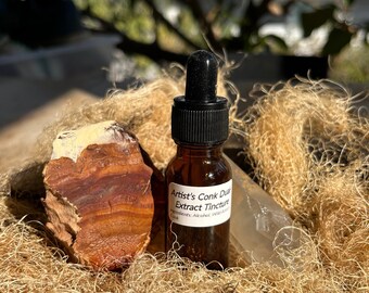 Artist’s Conk (Ganoderma applanatum) Dual Extract Tincture for Herbalists / Honest, Homegrown & Organic / Honest Herb for Modern Herbalists