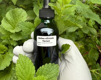Organic Lemon Balm (Melissa officinalis) Tincture for Regenerative Herbalists / Organic & Homegrown/ Honest Herb for Modern Herbalists