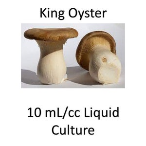 10 ml/cc King Oyster liquid culture