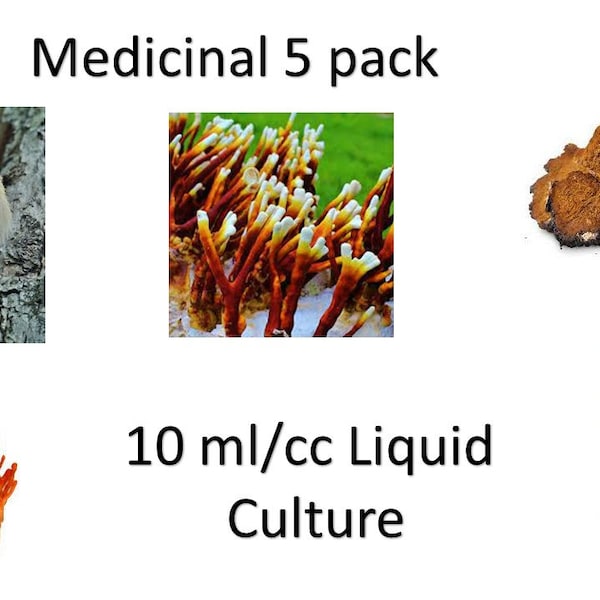 Medicinale paddenstoelen 5 pack