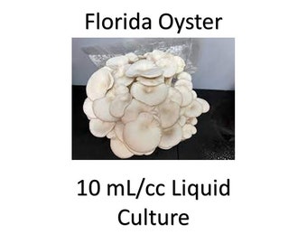 10 ml/cc Florida Oyster liquid culture