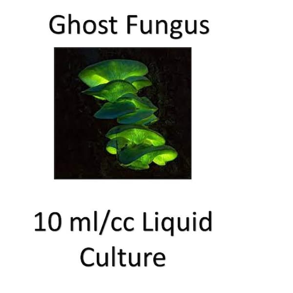 10 ml/cc Ghost Fungus liquid culture