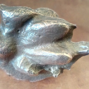 Paw print in bronze of your pet