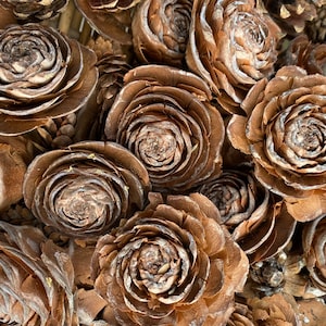 May include: Close-up of a collection of brown pine cones, some resembling roses. The cones have a layered, textured appearance with varying shades of brown and a natural, organic aesthetic. Ideal for rustic decor or craft projects.