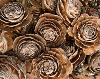 Cedar Rose Cones - Assorted Sizes