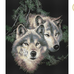 May include: Two gray wolves with brown fur peeking out from behind green pine branches. The wolves are looking directly at the viewer.