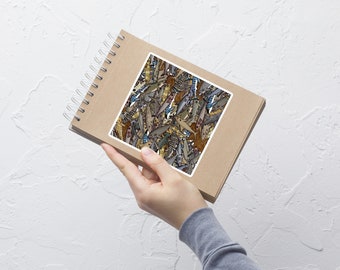 Adesivo squalo quadrato, adesivi senza bolle, squalo elefante, squalo bianco, squalo goblin, squalo arricciato, megamouth, squalo zebra