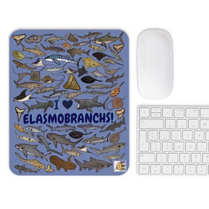 May include: A blue mouse mat with illustrations of sharks and rays, and the text "I ❤️ ELASMOBRANCHS!". A white mouse and keyboard are positioned beside the mat. The design features various species of elasmobranchs.