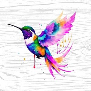 Hummingbird Digital Download High Quality PNG JPG Animal Lover Watercolours Portrait Clipart Sublimation Design Download Commercial Use