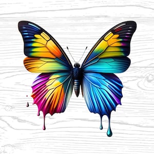 Butterfly Digital Download Technicolor High Quality PNG JPG, Butterfly Lover Portrait Clipart Sublimation Design Download For Commercial Use