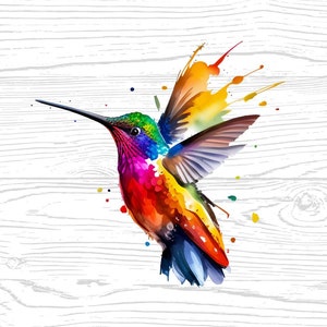 Hummingbird PNG JPG High Quality Digital Download Animal Lover Watercolor Portrait Clipart Sublimation Design Download Commercial Use