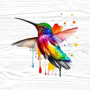 Hummingbird PNG JPG High Quality Digital Download Animal Lover Watercolor Portrait Clipart Sublimation Design Download Commercial Use