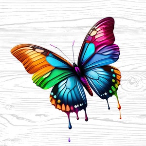 Butterfly Digital Download Technicolor High Quality PNG JPG, Butterfly Lover Portrait Clipart Sublimation Design Download For Commercial Use