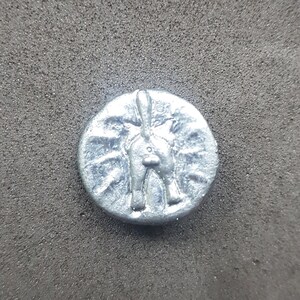 Può includere: Una moneta circolare color argento con una rappresentazione stilizzata del posteriore di un animale. La moneta ha un aspetto leggermente usurato ed è posta su uno sfondo scuro e strutturato. Le zampe e la coda dell'animale sono visibili.