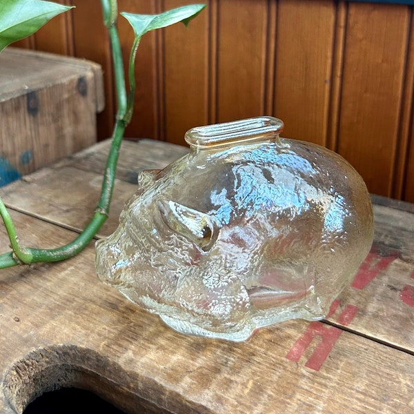 Glass Piggy Bank Etsy