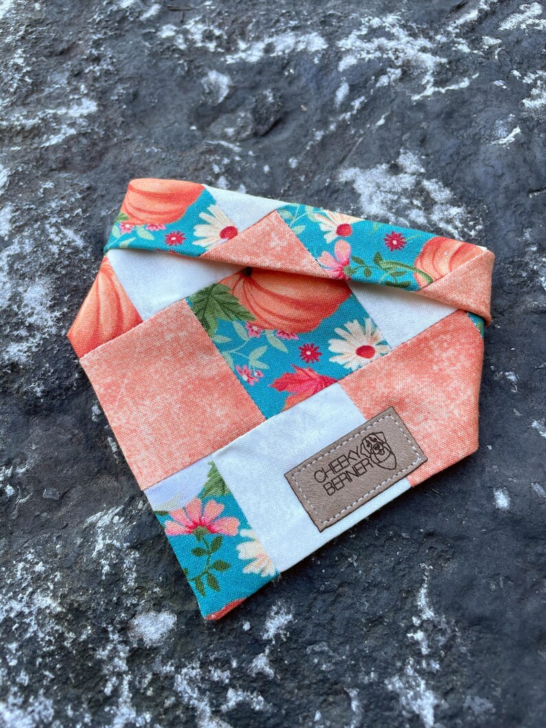 Peut inclure: Un bandana pour chien en patchwork avec un motif floral en turquoise, blanc et p&ecirc;che. Le bandana pr&eacute;sente un imprim&eacute; floral avec des citrouilles et une &eacute;tiquette en cuir marron qui dit "Cheeky Berner".
