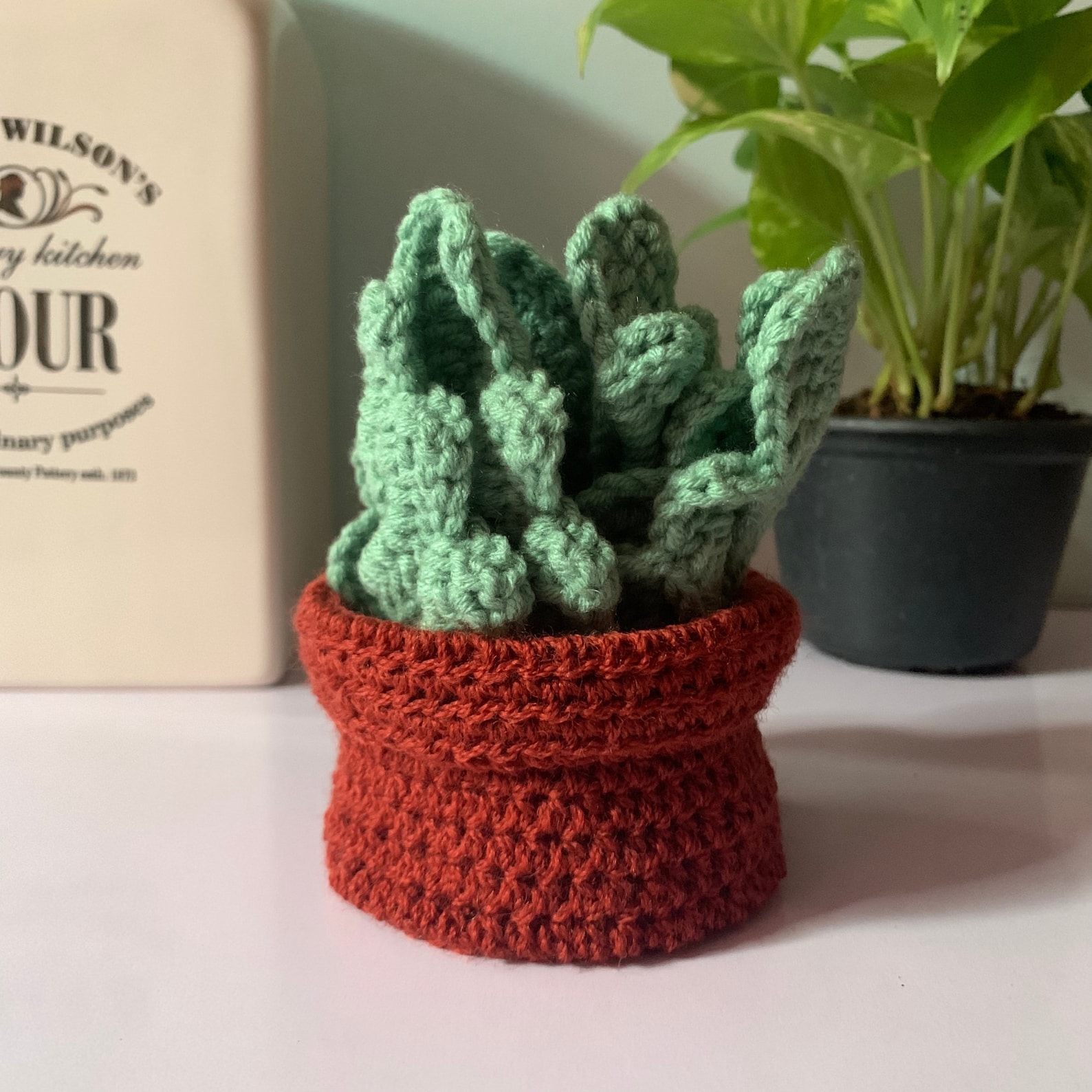 Monstera Leaf Coasters Crochet Pattern Video Tutorial and PDF Download