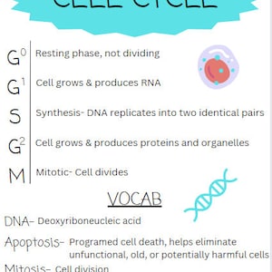 The Cell & Immunity